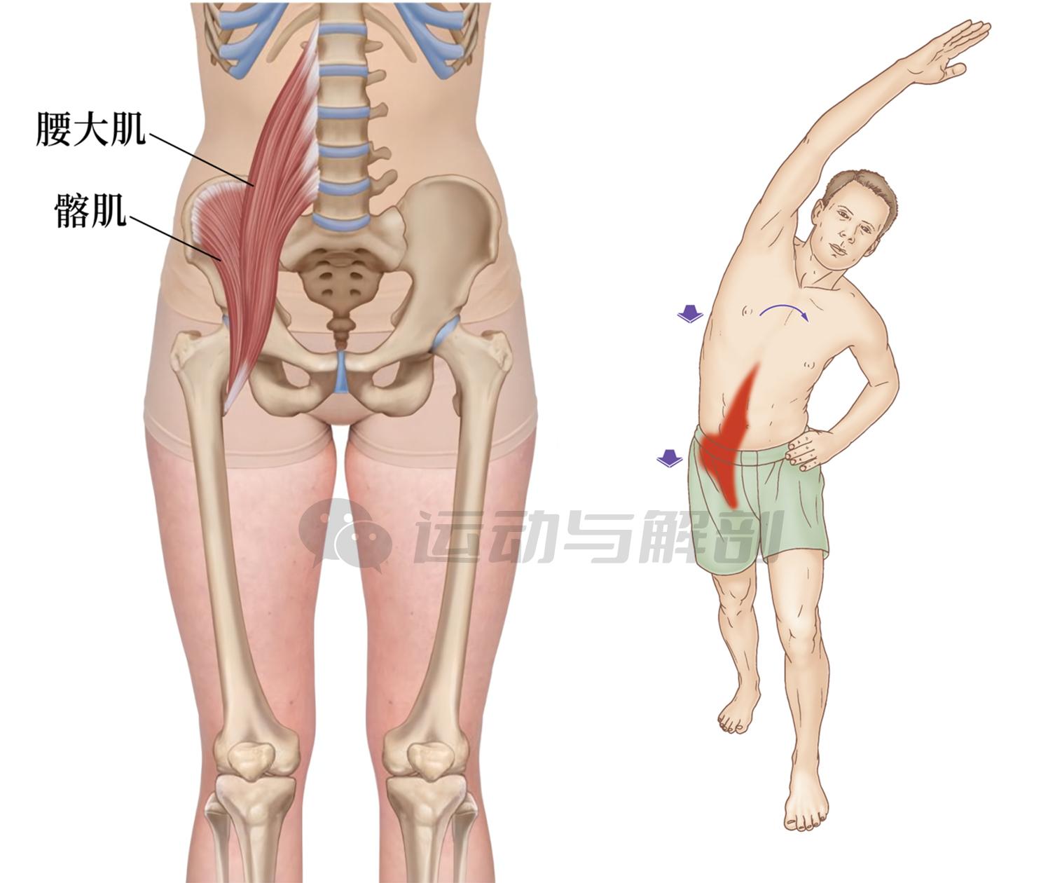 久坐缓解肌肉酸胀的方法,久坐肌肉酸痛怎么缓解