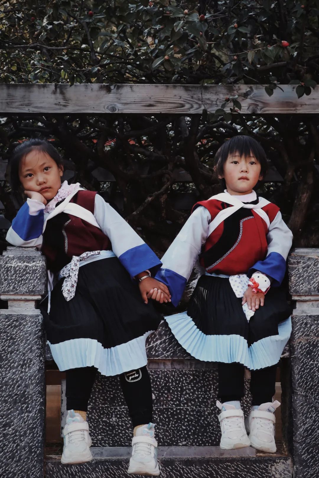 玉峰寺茶花,昆明金殿看茶花