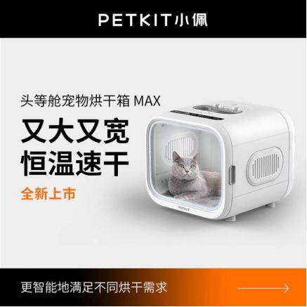 养猫必备好物清单,不贵又实用的养猫好物分享