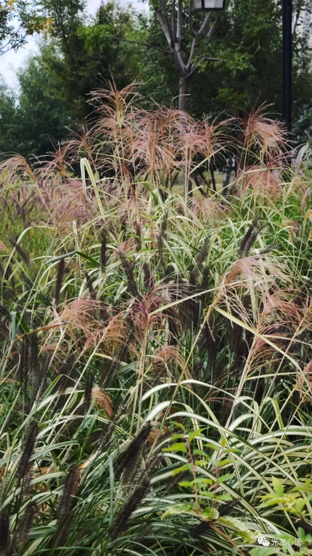 F93：随缘信笔（2023年10月15日）