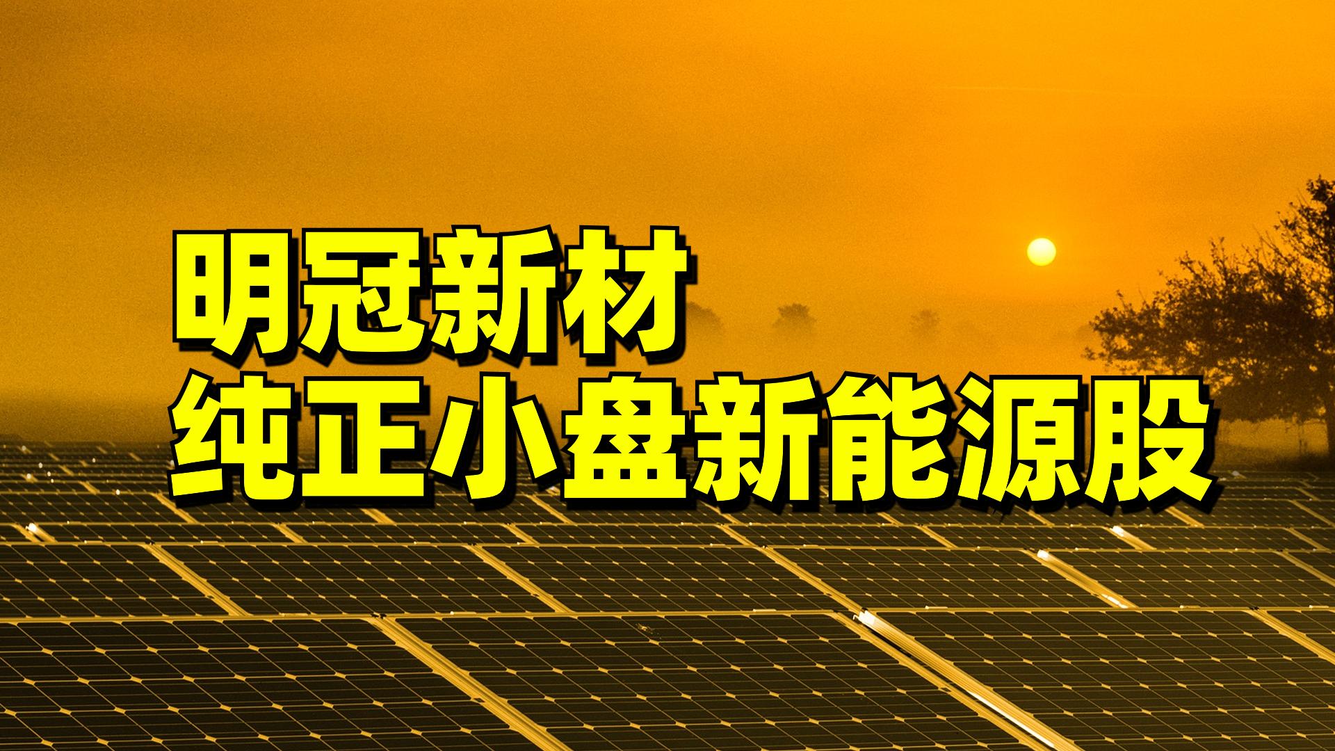 光伏细分领域的领军企业,光伏产业巨头