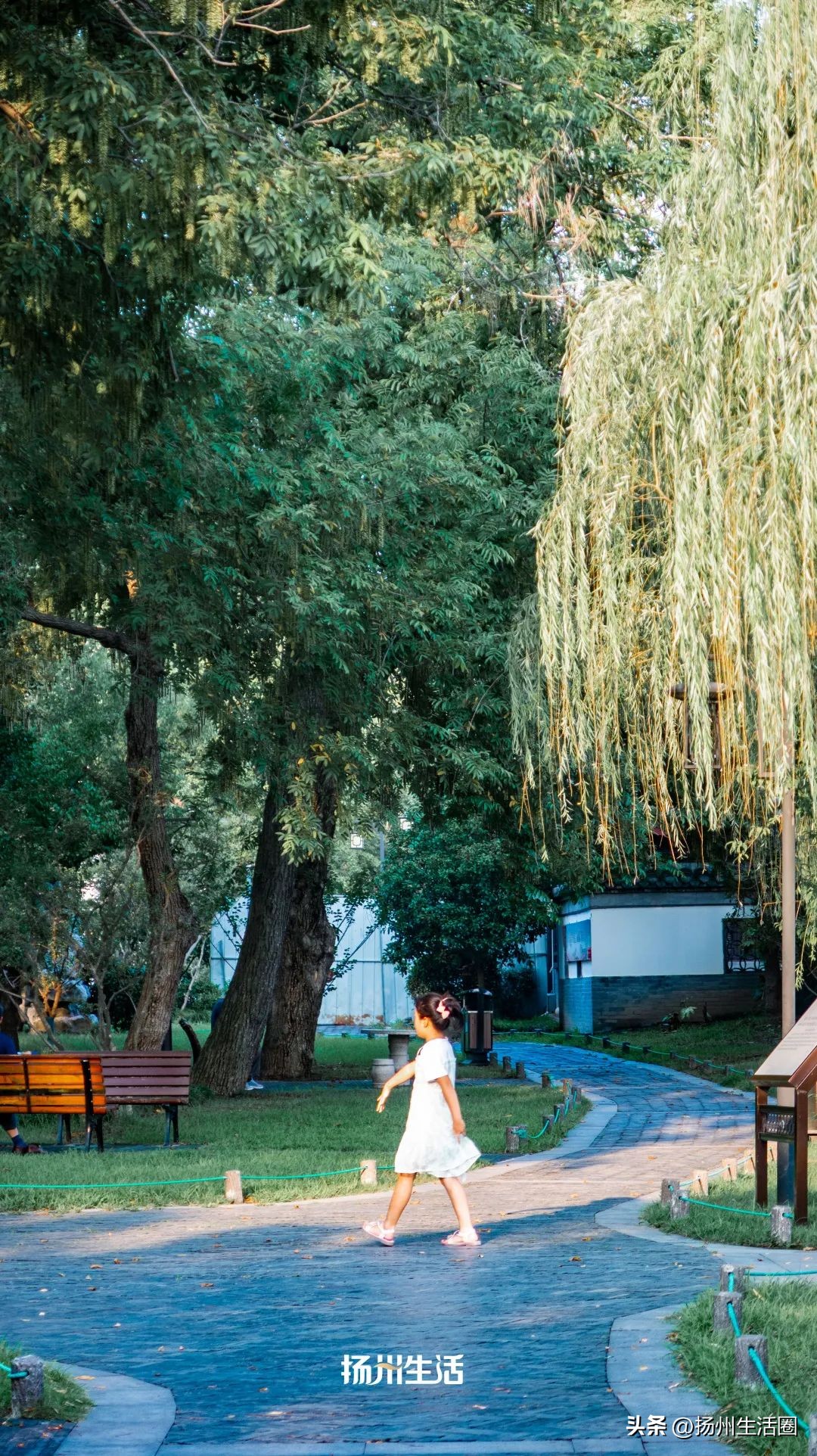 扬州夏天最热多少度,扬州苏州夏天哪个热