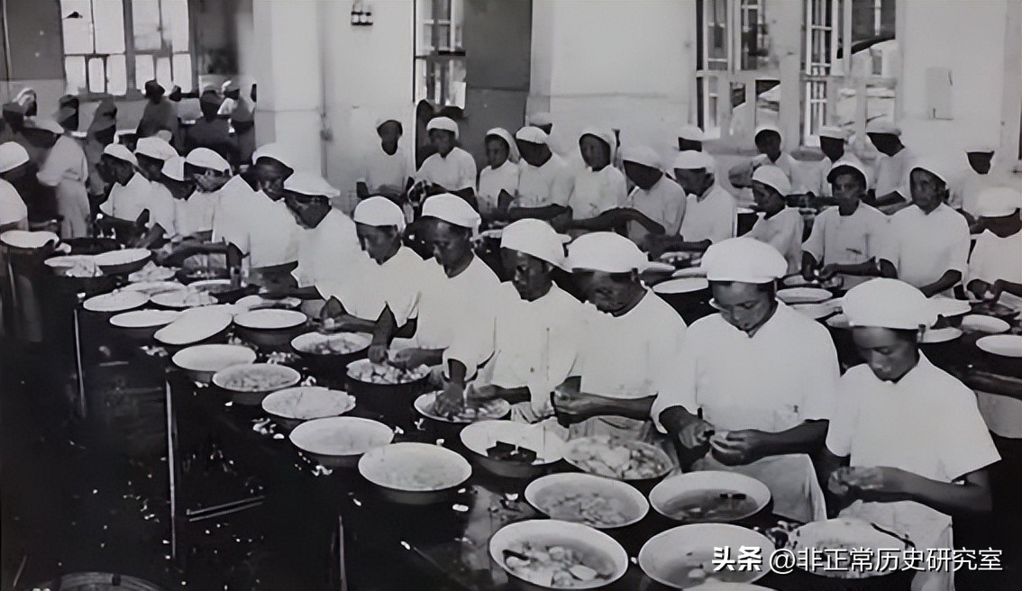 50年代罐头工业,中国罐头风靡国外