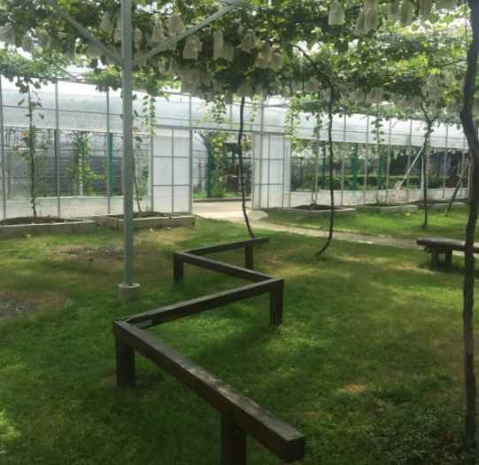 涓婃捣椹檰涓婚鍏洯,椹檰钁¤悇涓婚鍏洯娓歌