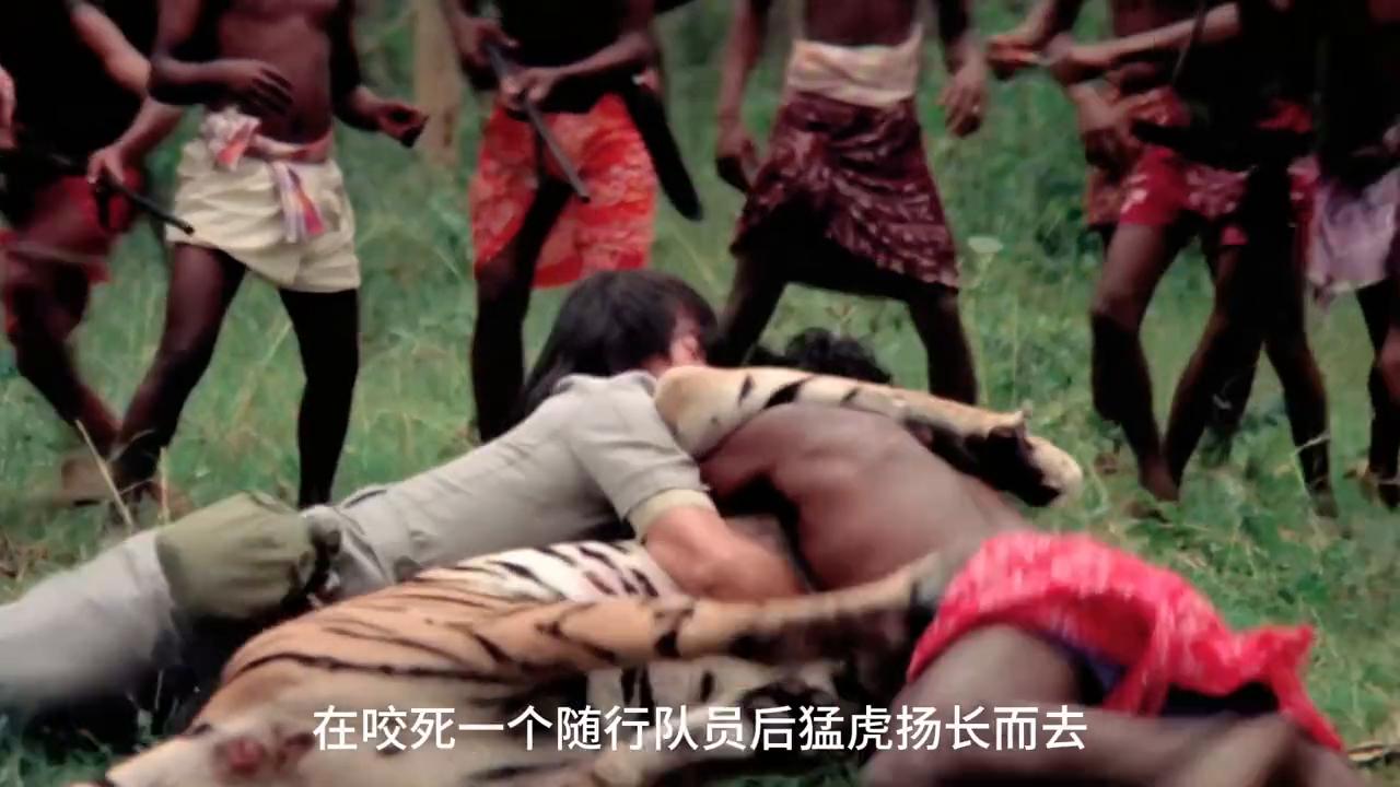 猩猩王：媲美人猿泰山的太尺度电影，中国版金刚。#美女与野兽