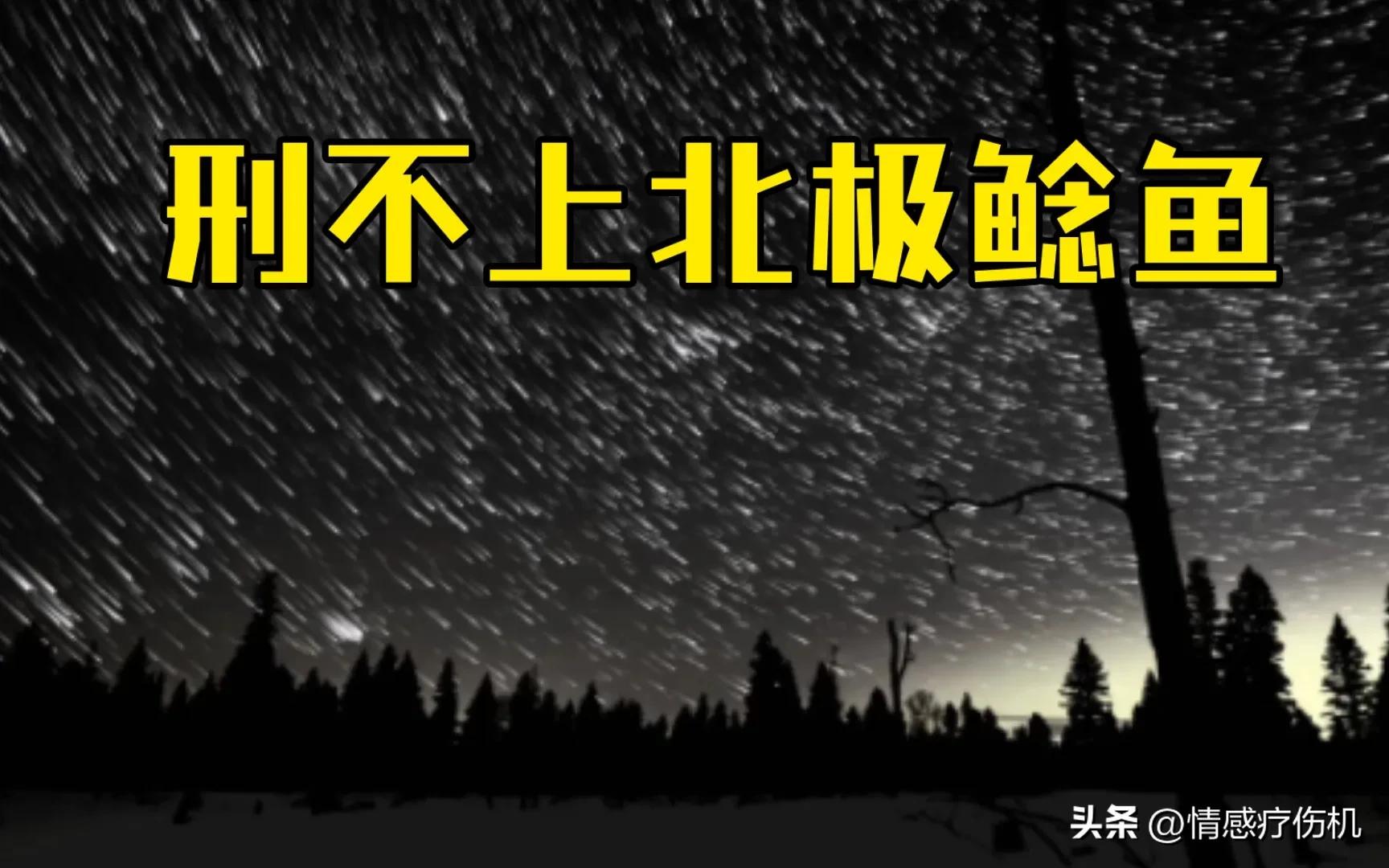 北极鲶鱼事件最后结果,“北极鲶鱼”事件后续
