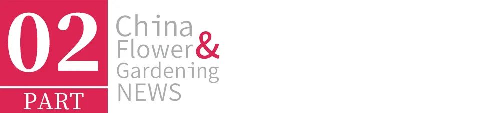 2022年苗市缓缓落幕，谁家欢喜谁家愁？