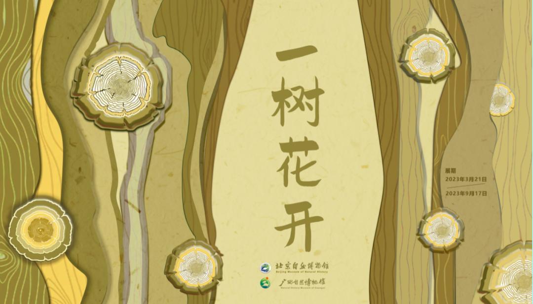 北京自然博物馆老年人免票吗,北京自然博物馆五一