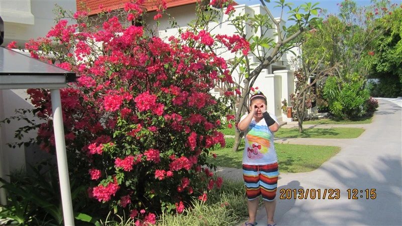 马尔代夫蜜月免费项目,蜜月旅游去马尔代夫哪个岛屿最好