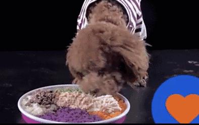 比熊狗狗去泪痕狗粮推荐,狗狗泪痕严重喂什么狗粮