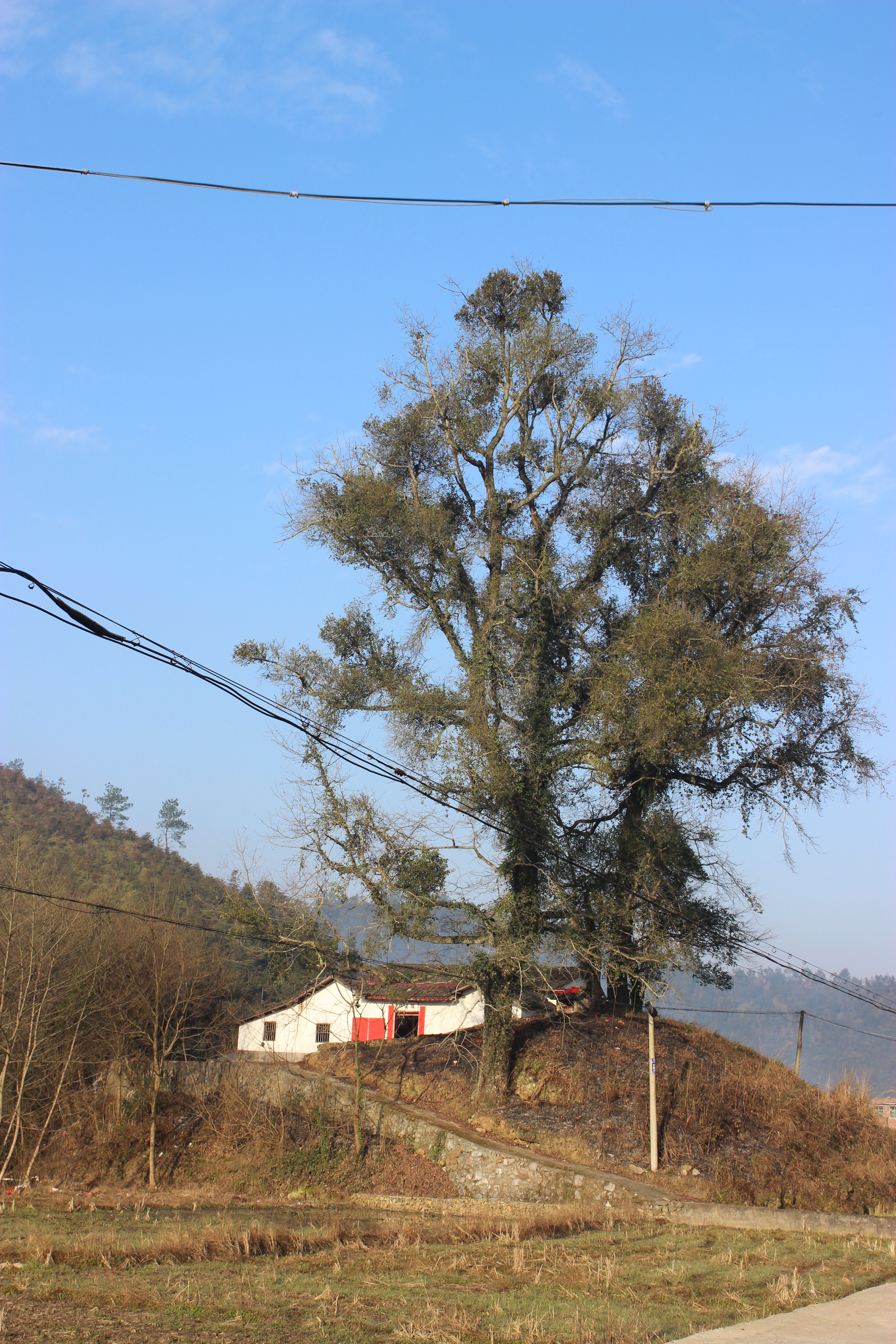 赣州周末出游攻略,春节赣州出发2-3天短途旅游