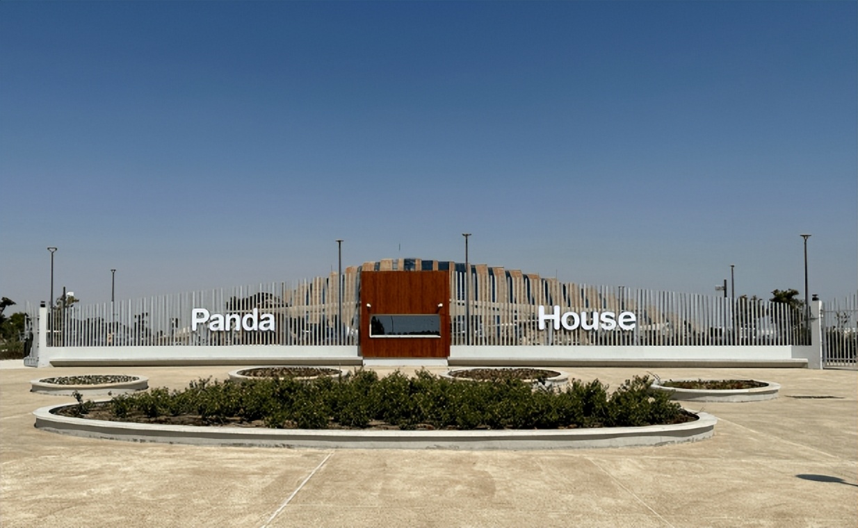 印度屡次向中国求借大熊猫遭拒，卡塔尔却一次成功？背后有何原因