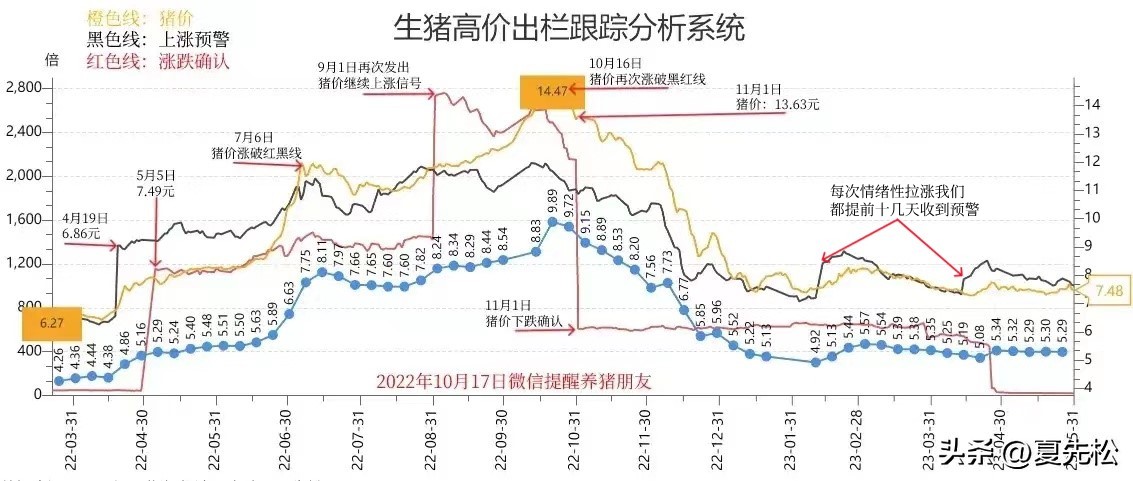 养猪多少钱一斤才能赚钱,养猪挣钱还是卖猪肉赚钱