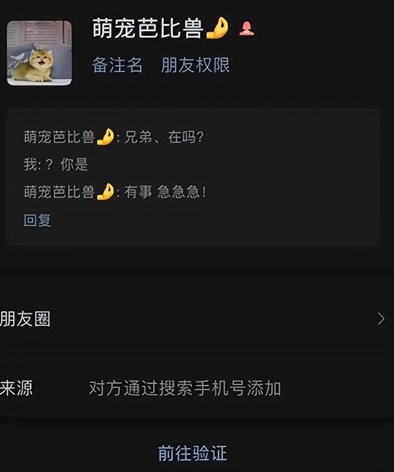 网友养了70只布偶猫,有人家里养了110只布偶猫