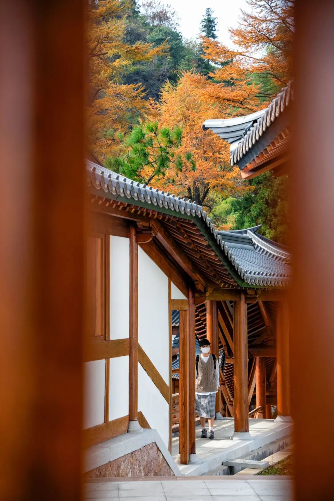 杭州秋日游攻略,杭州秋色上线这些赏秋地风景极佳