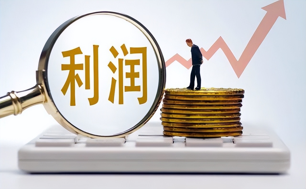 销售净利率财务分析,财务分析毛利率