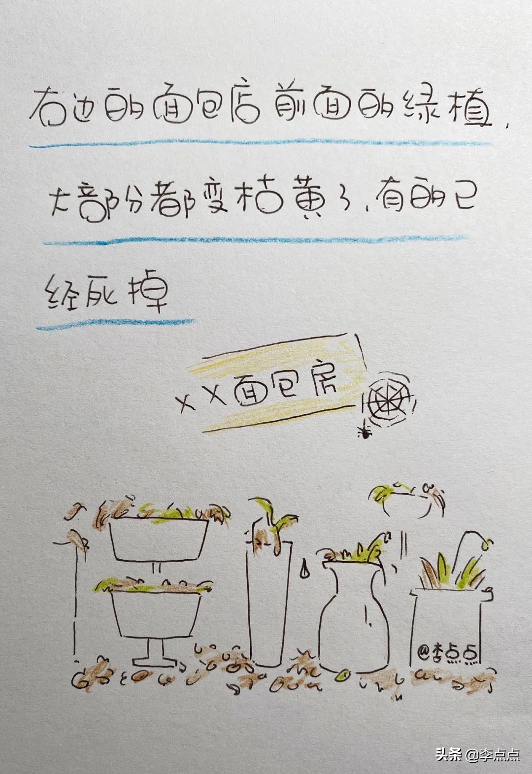 解封第一天拍摄的视频,解封第一天的记录