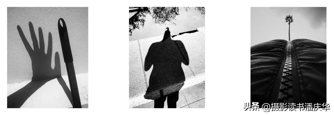 2020ippa摄影大赛获奖作品,ippa手机摄影大赛金奖