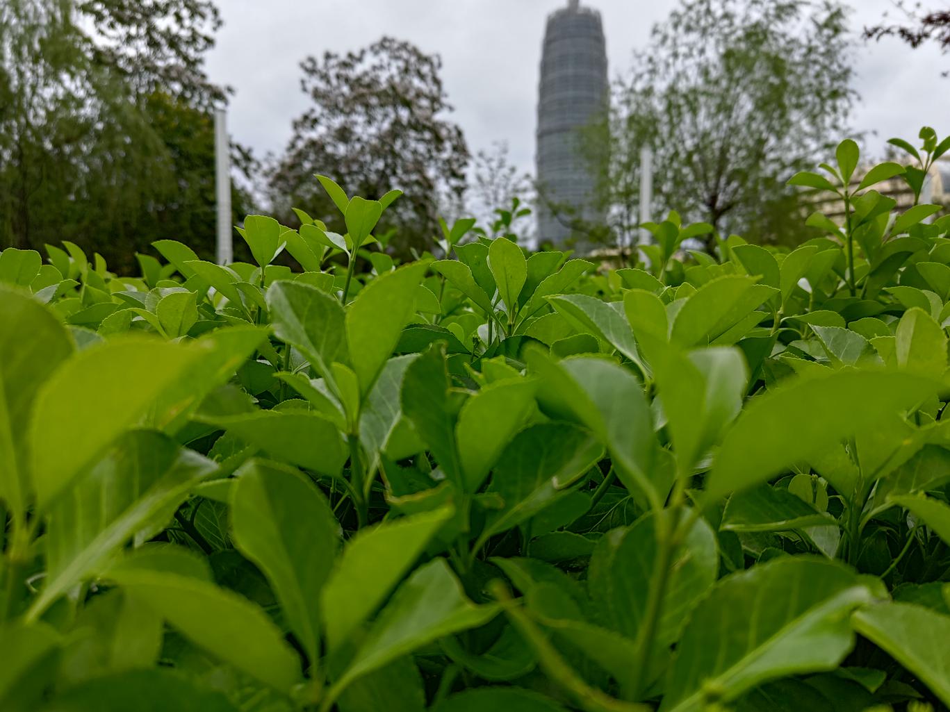 鏂板搧鑵捐rog娓告垙鎵嬫満7pro,涓撲笟鐜╁蹇呯湅鑵捐rog娓告垙鎵嬫満7pro