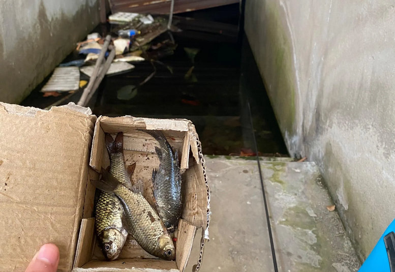 废弃停车场变鱼塘,深圳车库积水变鱼塘