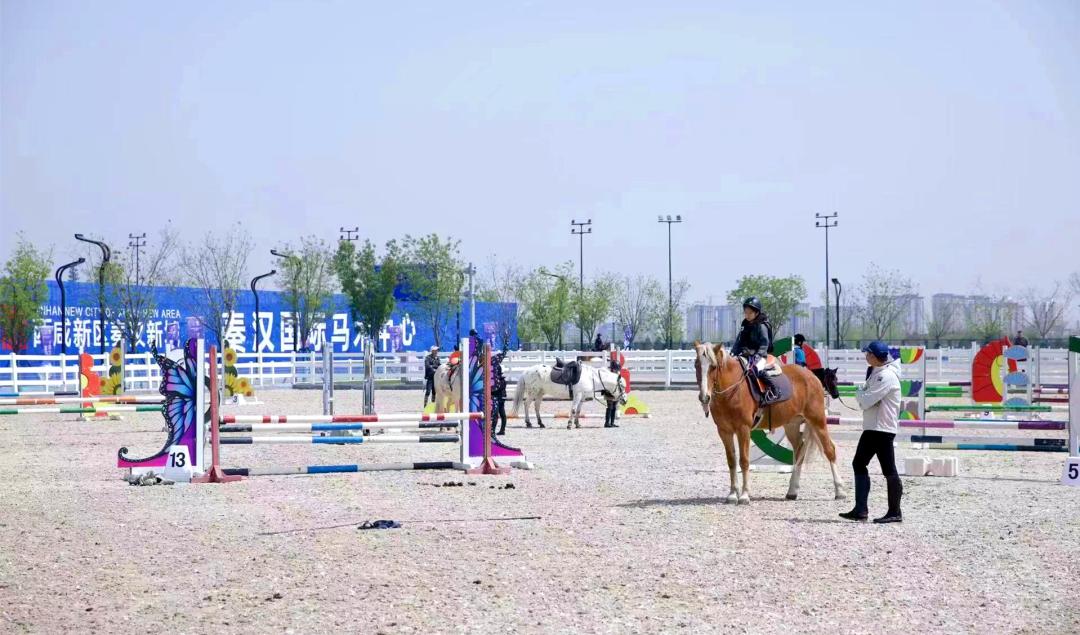 马术夏令营山东,马术夏令营深圳7天