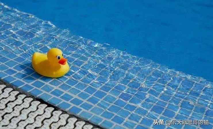 在游泳池里放入蝌蚪会怎么样,游泳池里会有尿吗