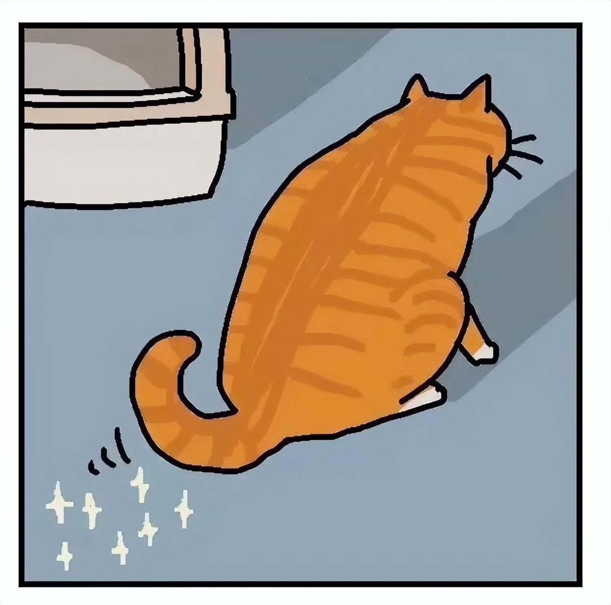 猫猫便血过后拉不出来了,猫猫便血是感染弓形虫了吗