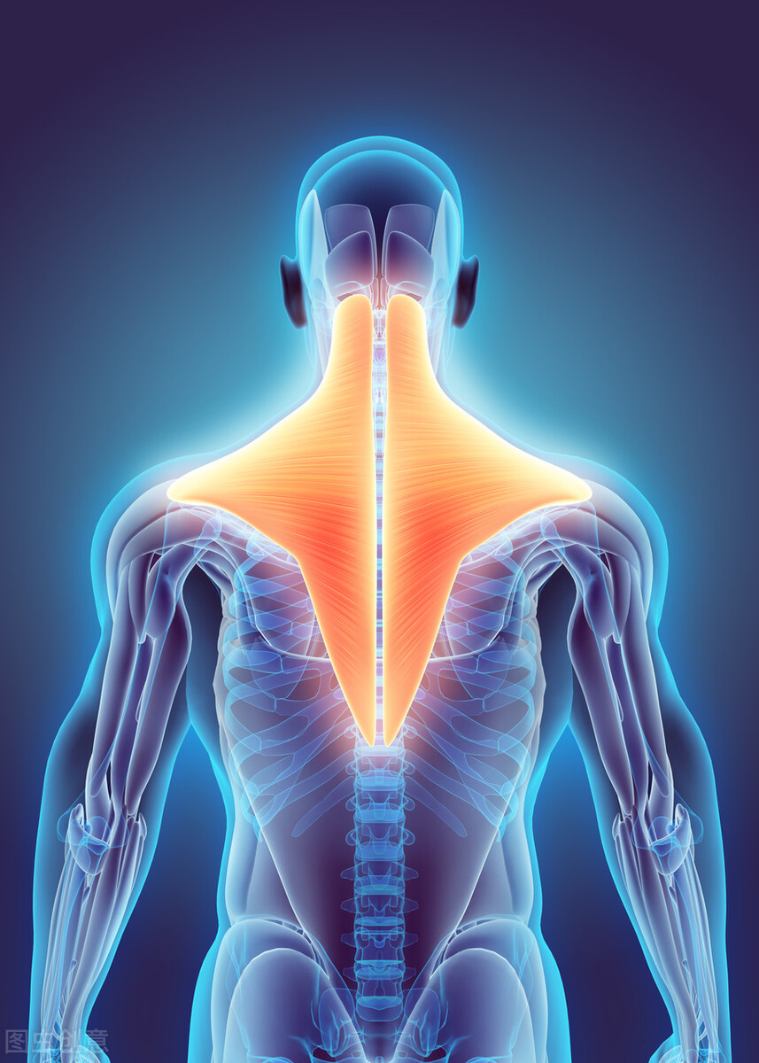 肌酐降下去,肌酐高怎么降肌酐恢复肾功能