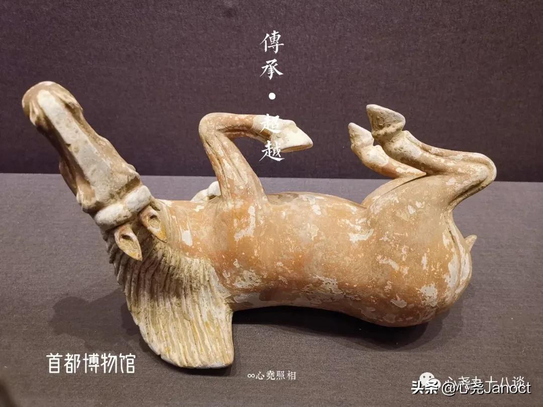 首都博物馆百年展,首都博物馆陶瓷展