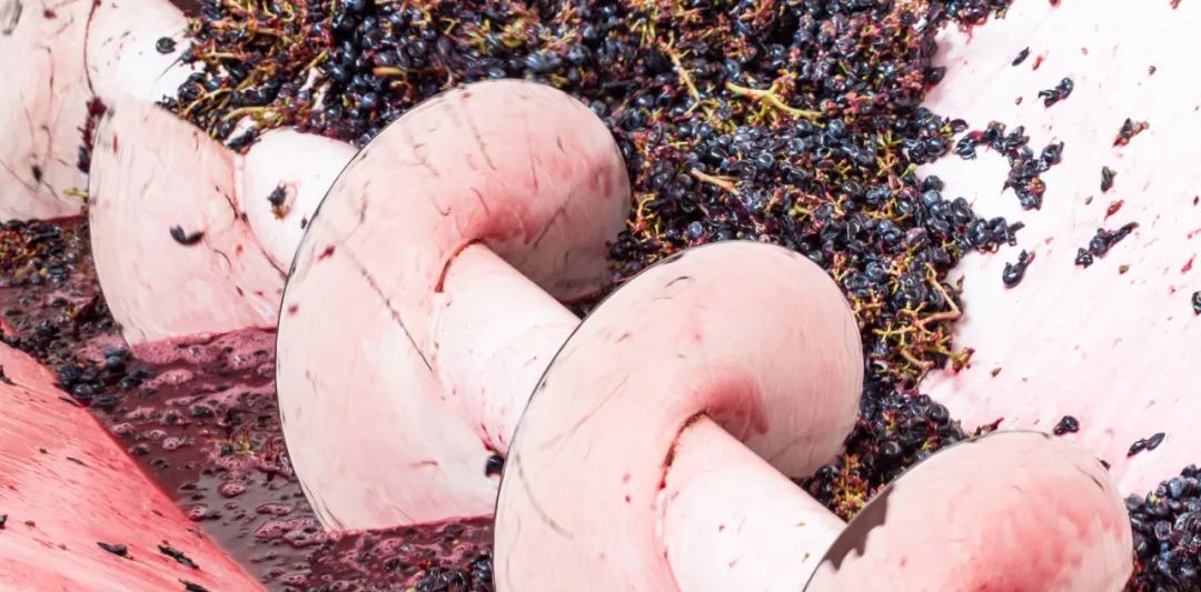 恋爱的味道，不止普罗旺斯桃红