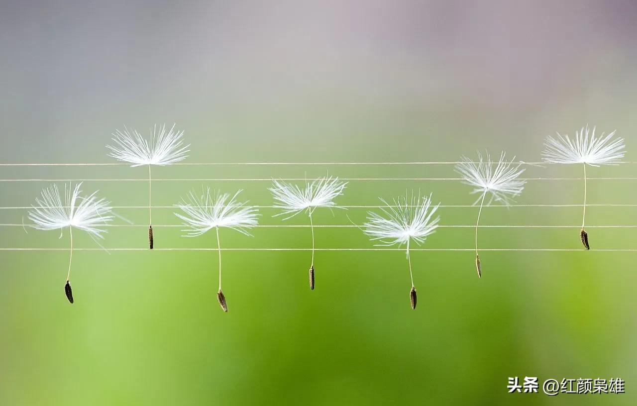 爱情中的第三者是怎么表现的,面对感情女人该不该主动