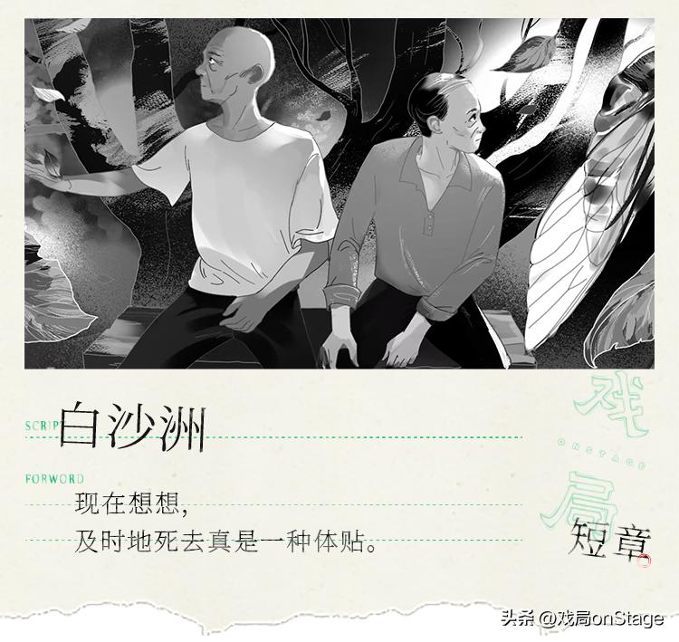 这里，是最好的老人洞|白沙洲