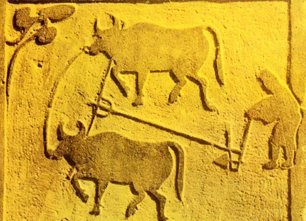 汉朝有多厉害,汉朝究竟有多强