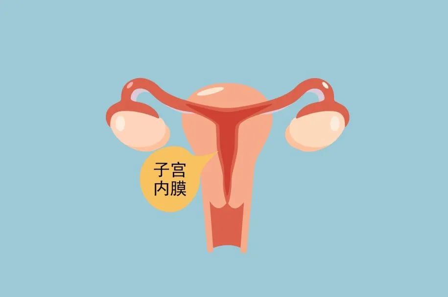 保护膜没有破会怀孕吗,怀孕初期皮肤屏障受损怎么办