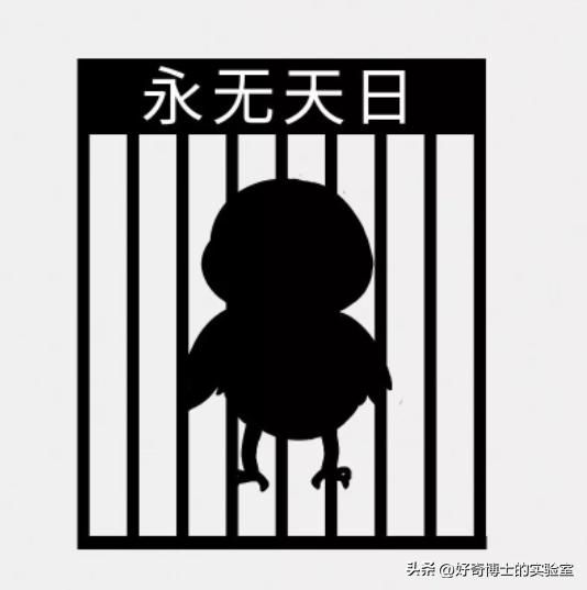 包皮割了和没割看起来有区别吗,男性一定要割包皮吗