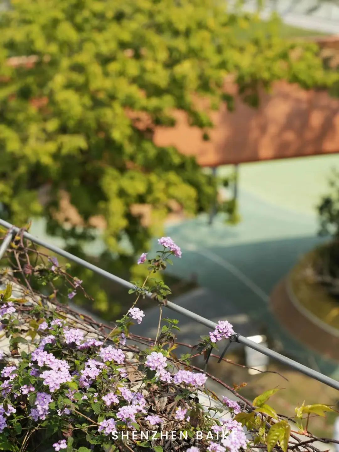 没想到这个设计公社里，还藏了个“小欧洲”和“魔法阵”——