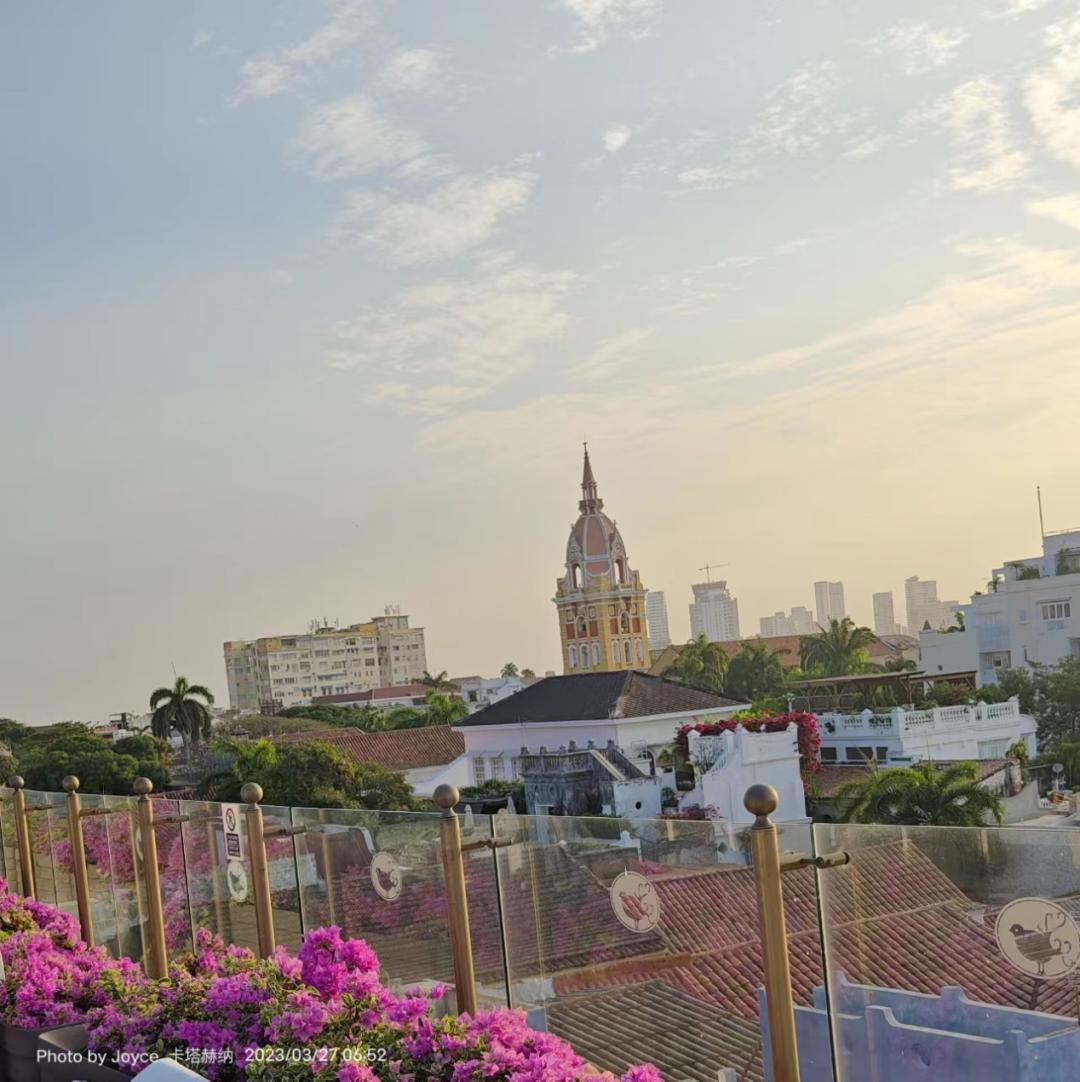 发现不一样的大自然读后感,发现不一样的精彩世界