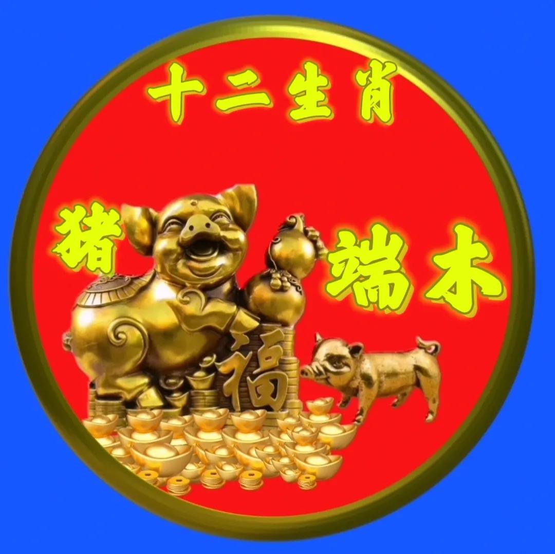 12生肖猪的姓氏头像,十二生肖猪姓氏头像壁纸