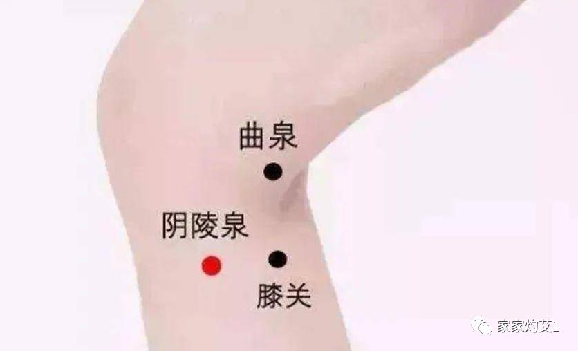 春季适合艾灸灸哪个位置,春季艾灸怎么灸