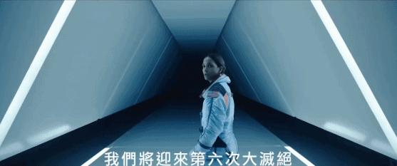 2019年大ip,2019大ip