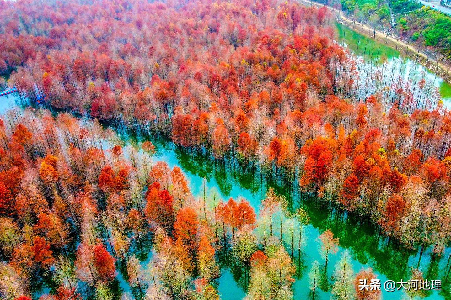 中国南方这30个景点,难说多知名,但敢说它的秋色最艳最浪漫