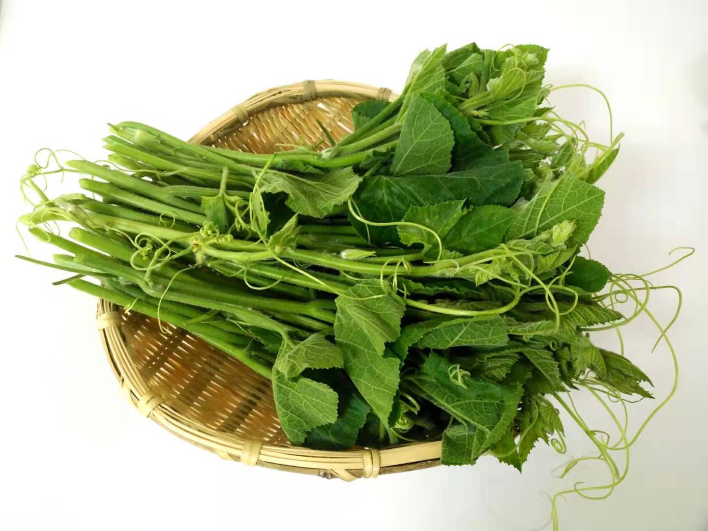 野菜100种大全,能吃的100种野菜大全