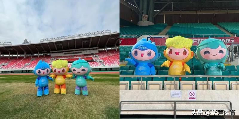 俄罗斯排协邀请赛,俄罗斯为什么不参加世界杯排球