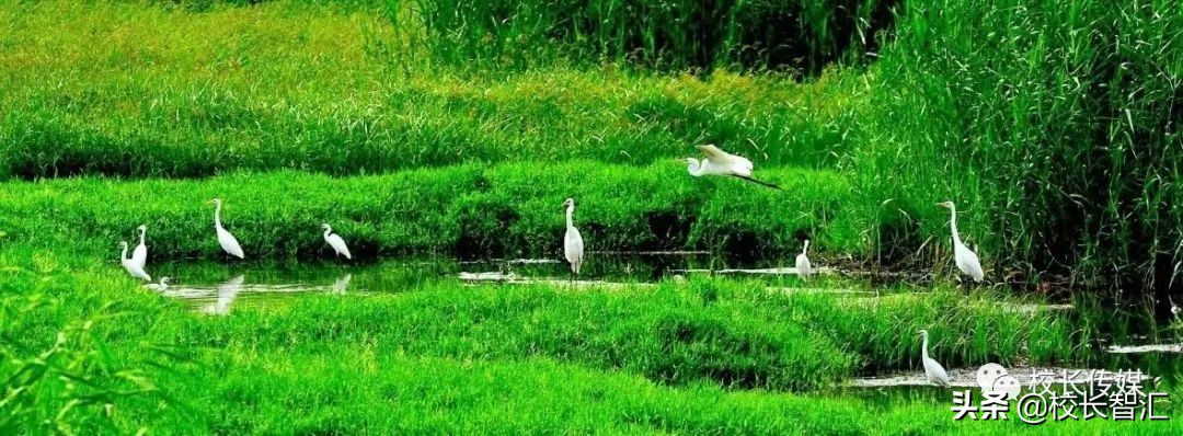 聚焦双减提质增效,双减形势下减负提质增效