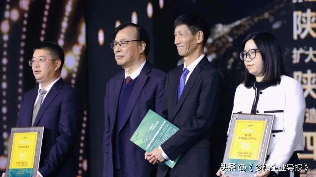 乡村振兴赋能计划人才典型案例,乡村振兴之文化振兴案例