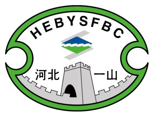 河北曾经的足球队名单,中国足球河北队