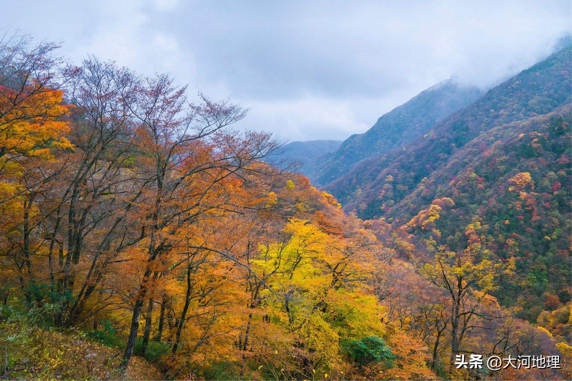 中国南方这30个景点,难说多知名,但敢说它的秋色最艳最浪漫