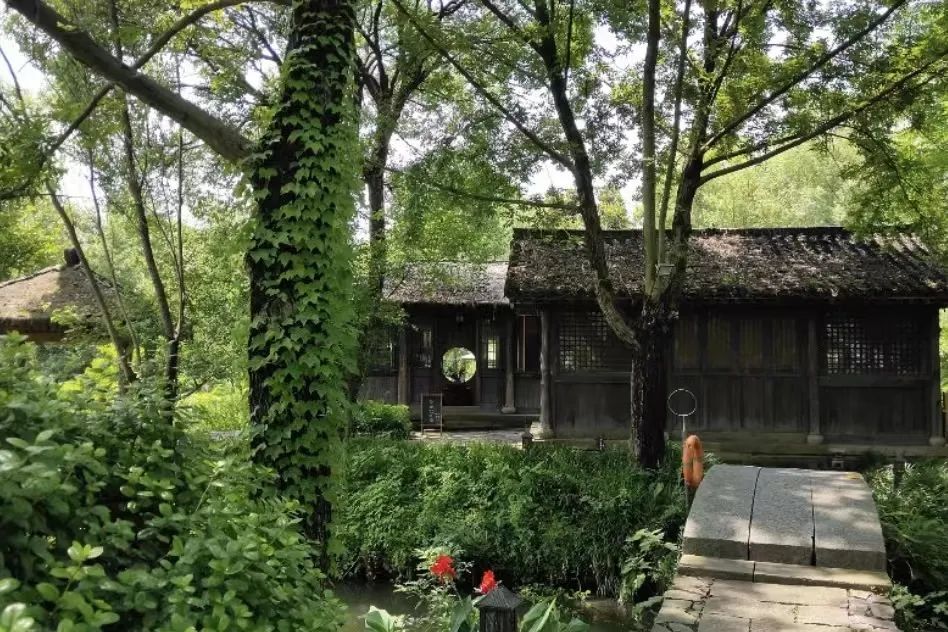 在杭州，会玩的人夏天都来这了