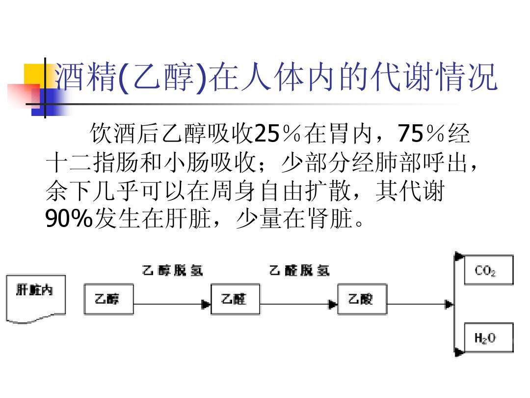 解酒醒酒产品年轻人接受度,解酒神器解酒啥原理