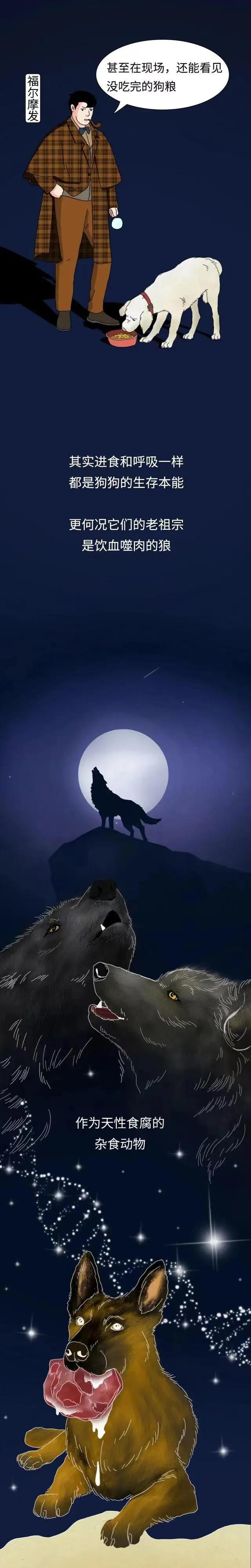 漫画：“铲屎官如果突然挂了，狗狗会等多久吃掉尸体？”网友神评